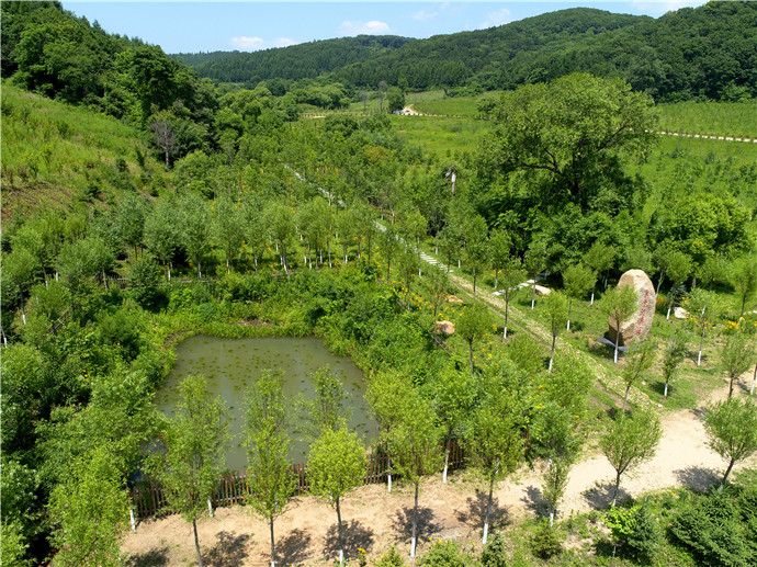 微信图片_20200708163447 微信图片_20200708163447.jpg