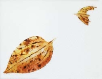 pagenumber_ebook=172,pagenumber_book=172