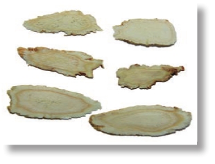 pagenumber_ebook=251,pagenumber_book=238