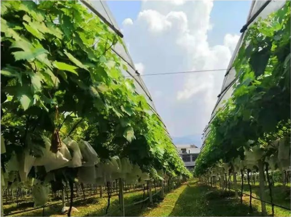 微信图片_20221001161924 微信图片_20221001161924.png