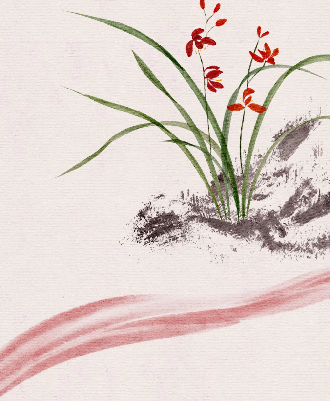 image.png?v=1762124792502