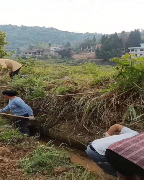 图片 49 图片 49.png