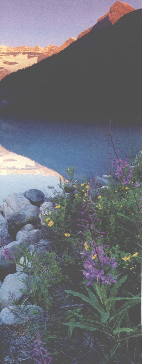 pagenumber_ebook=151,pagenumber_book=143