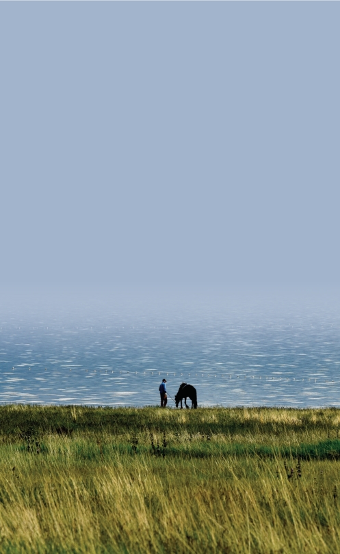 pagenumber_ebook=57,pagenumber_book=46