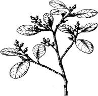 pagenumber_ebook=172,pagenumber_book=172