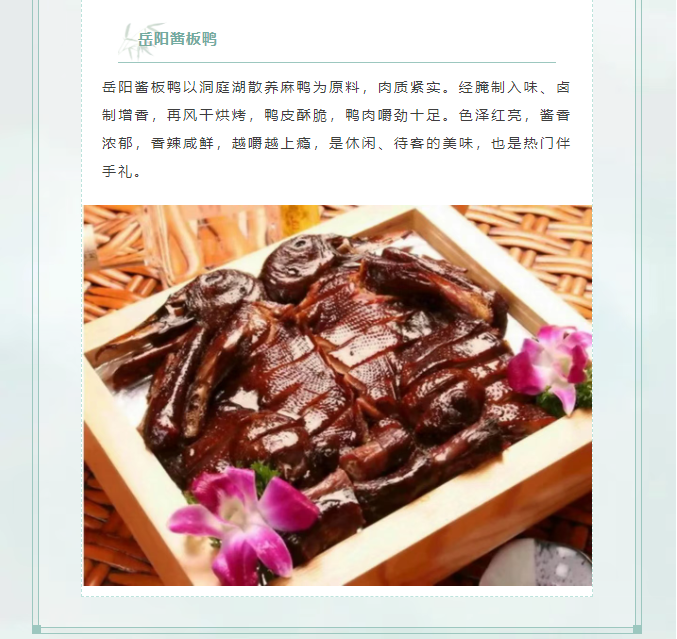 image.png?v=1751556769079