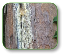 pagenumber_ebook=247,pagenumber_book=234