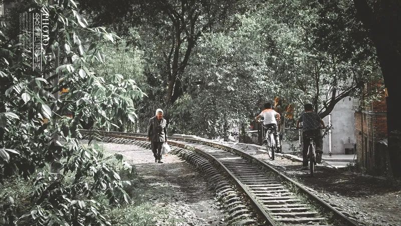 IMG_1423(20200417-105019) IMG_1423(20200417-105019).jpg?v=1765781105416