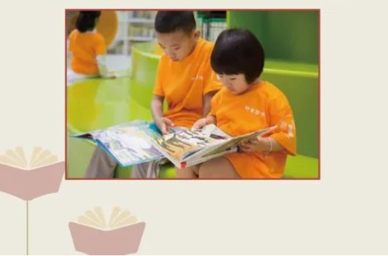 image.png?v=1754275796136