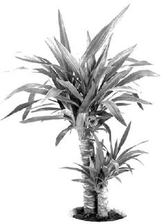 pagenumber_ebook=281,pagenumber_book=281