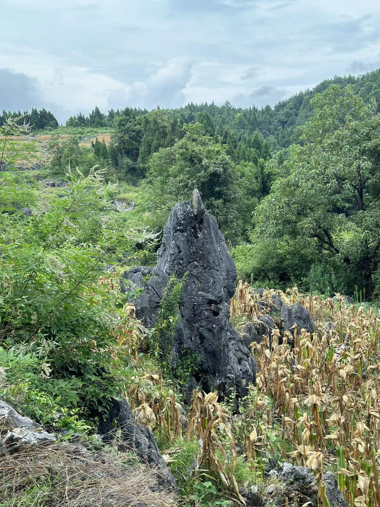 wps_doc_6 wps_doc_6.jpeg