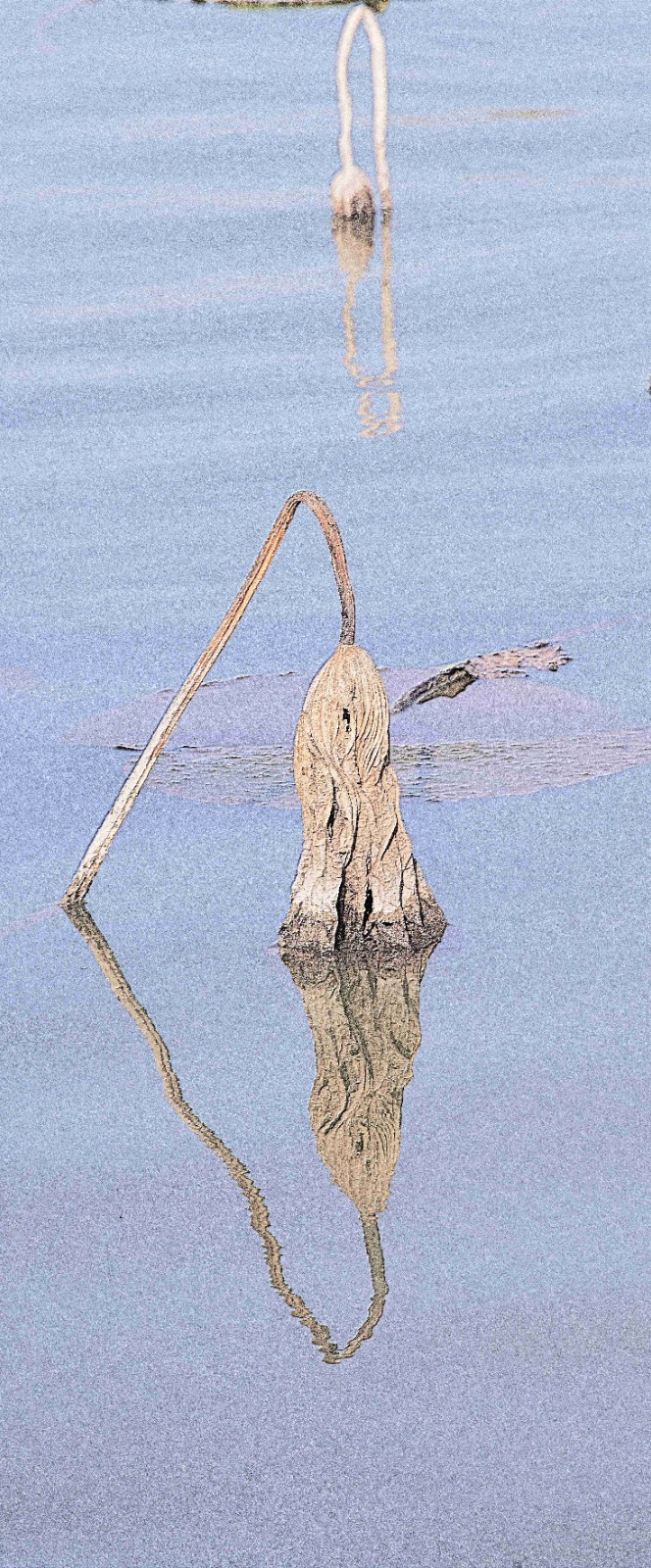 清气依旧雕铁骨 王祥领 (3)