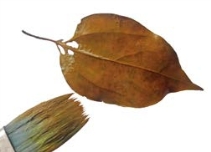 pagenumber_ebook=172,pagenumber_book=172