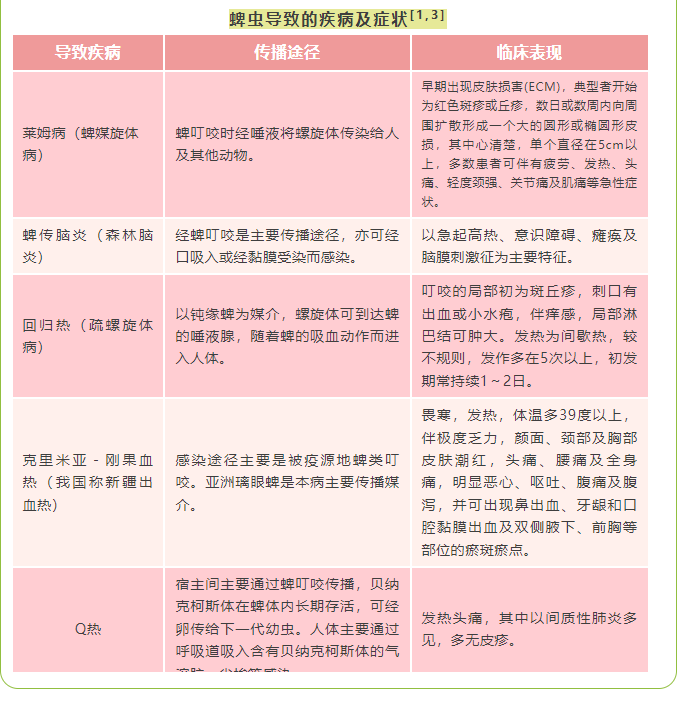 image.png?v=1751560565524