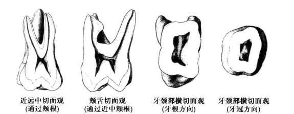 pagenumber_ebook=52,pagenumber_book=43