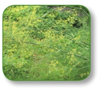 pagenumber_ebook=131,pagenumber_book=118