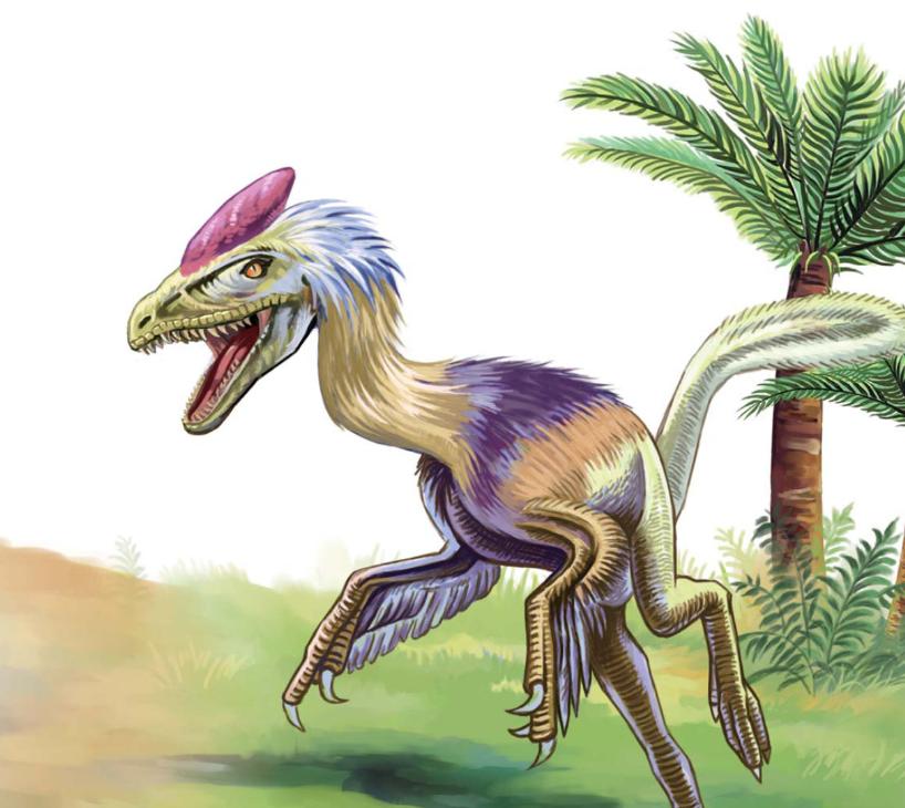 pagenumber_ebook=124,pagenumber_book=113