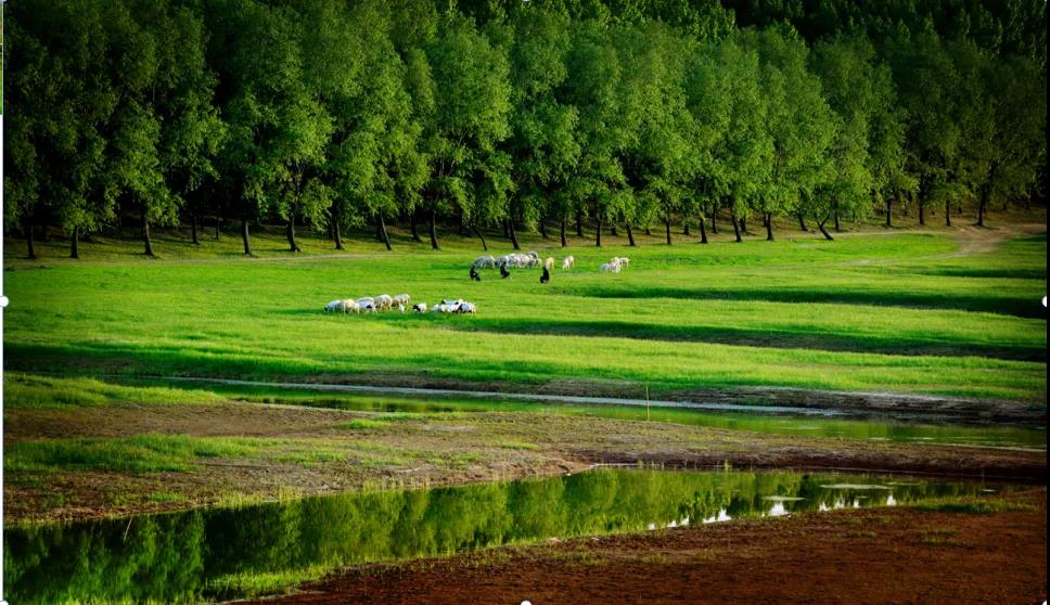 微信图片_20211222112546 微信图片_20211222112546.jpg