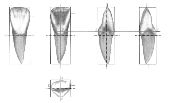 pagenumber_ebook=182,pagenumber_book=173
