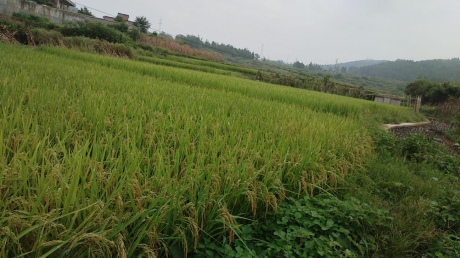 图片 56 图片 56.png