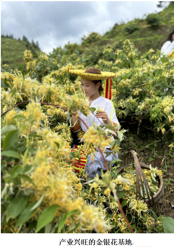 1732262379354 1732262379354.png