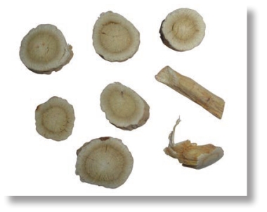 pagenumber_ebook=253,pagenumber_book=240