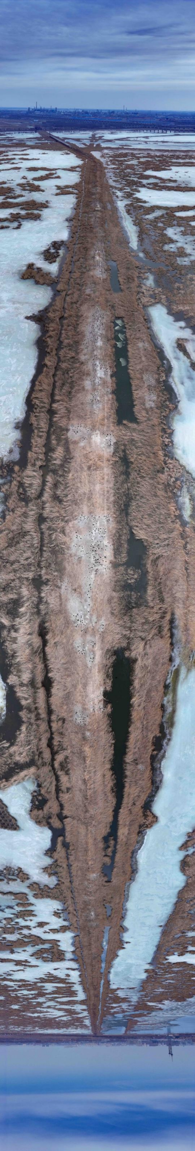 wps6981.tmp wps6981.tmp.jpg