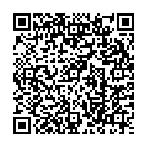 20170630181303_2kn3g8ic10.jpg?v=1781940114977