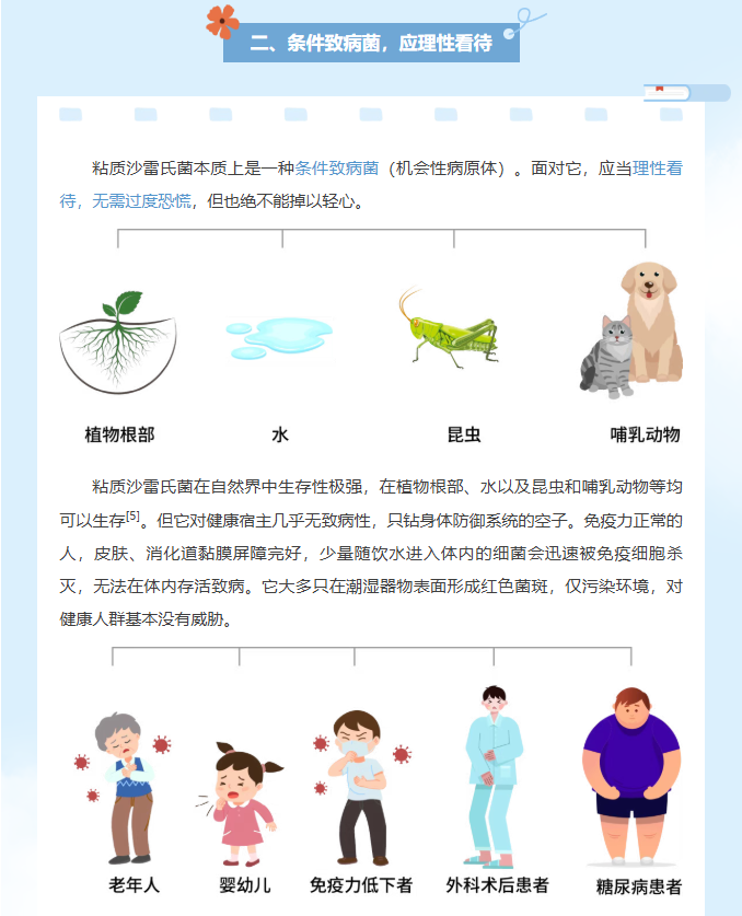 image.png?v=1786659371275