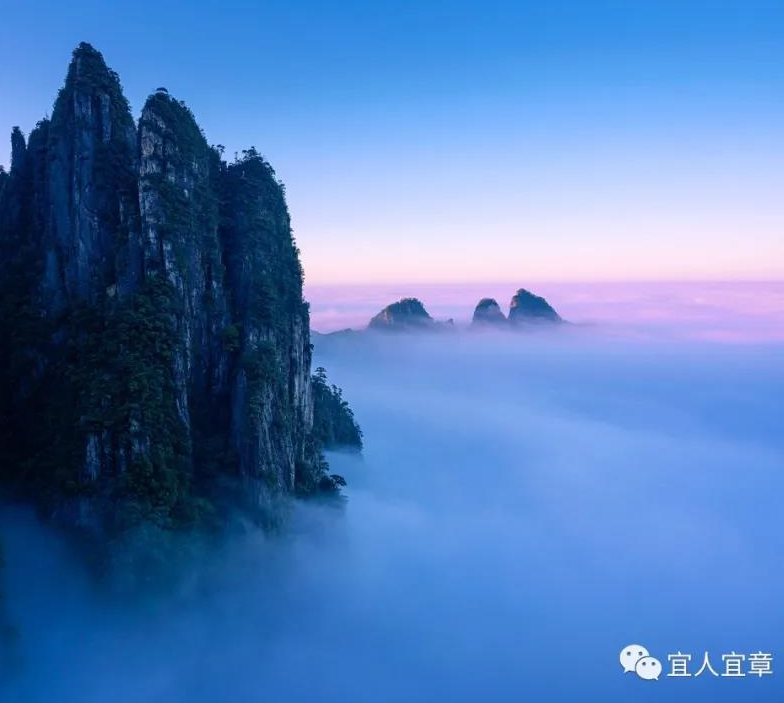 QQ图片20211207111932 QQ图片20211207111932.png