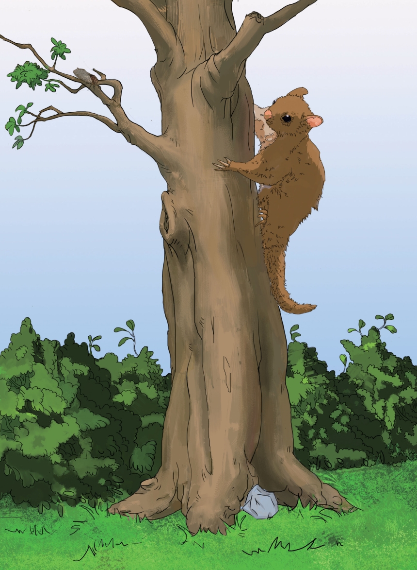 pagenumber_ebook=178,pagenumber_book=167