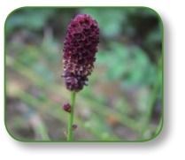 pagenumber_ebook=162,pagenumber_book=149