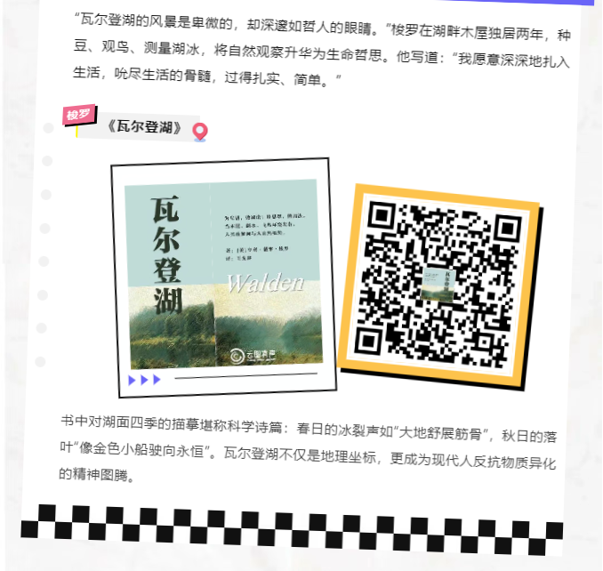 image.png?v=1751560893569