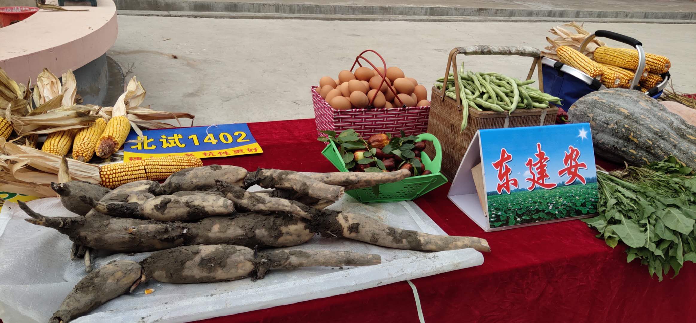 4af25114c93f7e13893a2eefddcde32 4af25114c93f7e13893a2eefddcde32