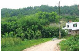 pagenumber_ebook=65,pagenumber_book=65