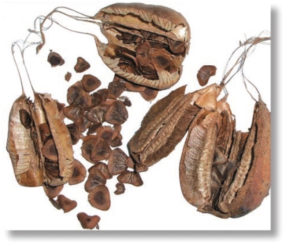 pagenumber_ebook=221,pagenumber_book=208