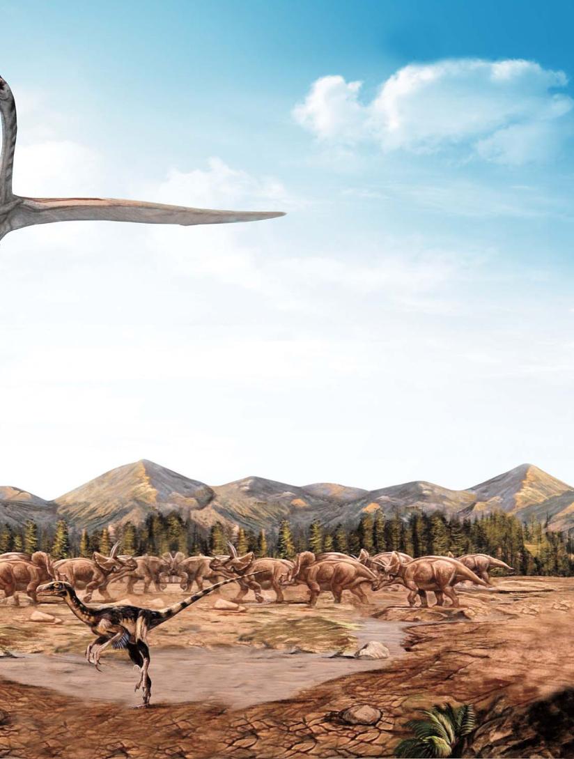 pagenumber_ebook=42,pagenumber_book=31