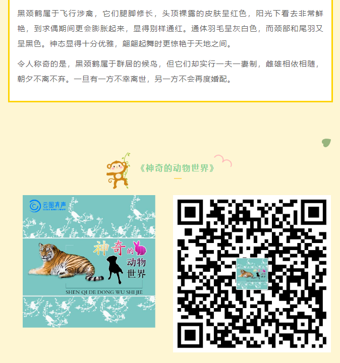 image.png?v=1750232682512