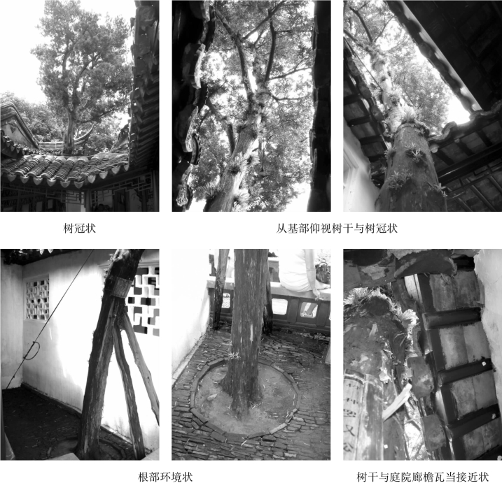 pagenumber_ebook=137,pagenumber_book=137