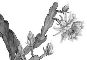 pagenumber_ebook=231,pagenumber_book=231