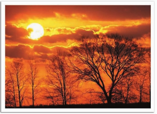 pagenumber_ebook=117,pagenumber_book=101