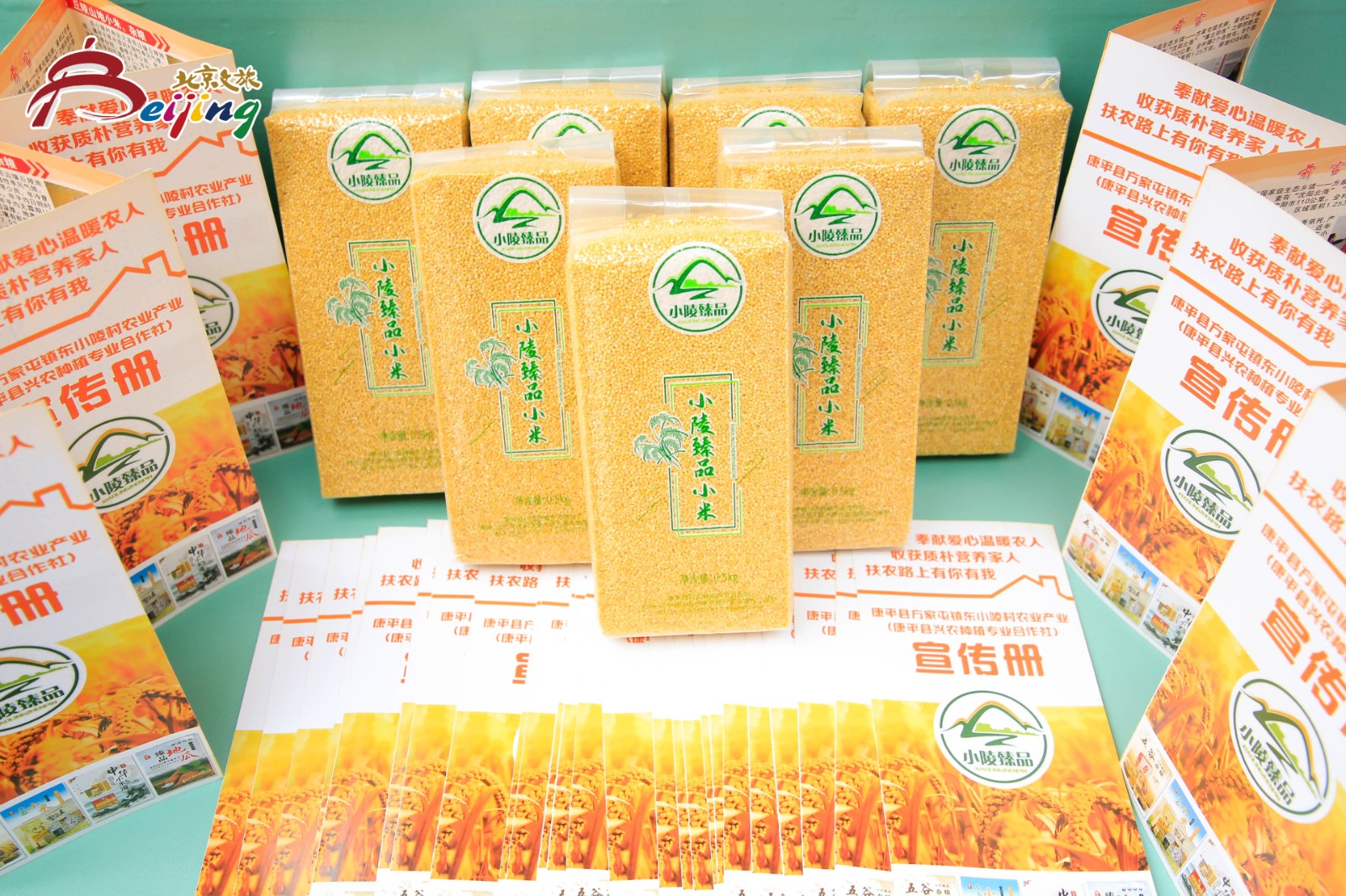 微信图片_20240625082808