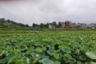 a6939999e3104630ddff46b2e09cc23