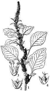 pagenumber_ebook=195,pagenumber_book=195