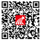 11.png?v=1746185766226
