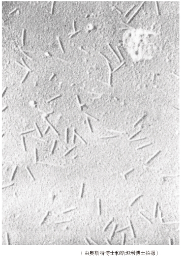 pagenumber_ebook=332,pagenumber_book=328