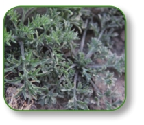 pagenumber_ebook=124,pagenumber_book=111