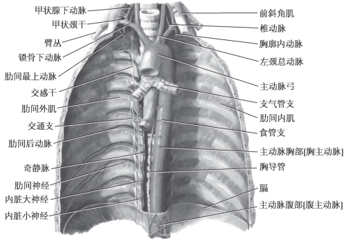 pagenumber_ebook=28,pagenumber_book=20