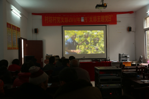 mmexport1517532447299.jpg?v=1762238548341