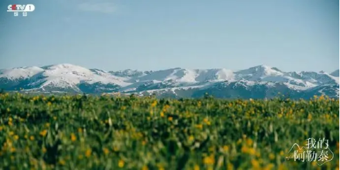 image image.png?v=1770186054932